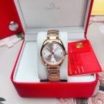 Omega Seamaster Aqua Terra 34mm Quartz Movement Rose Gold Bracelet Silver/Black Dial Women Watch
